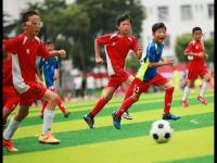 法国VS塞内加尔直播_法国VS塞内加尔免费直播_2026美加墨世界杯法国VS塞内加尔