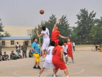 沙特阿拉伯VS乌拉圭直播_沙特阿拉伯VS乌拉圭直播在线观看_24体育直播