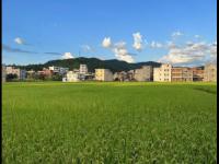 奥地利VS约旦直播_奥地利VS约旦直播免费观看_2026美加墨世界杯奥地利 VS 约旦